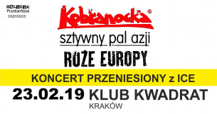 Koncert Kobranocka, Róże Europy, Sztywny Pal Azji w Krakowie - 23-02-2019