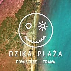Bilety na koncert DZIKA PLAŻA Powietrze i Trawa | Otwarcie w Swarzewie - 17-07-2020