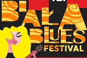 Bilety na 13 Biała Blues Festival