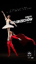 Bilety na koncert Dziadek do orzechów / retransmisja w Chełmnie - 19-12-2021