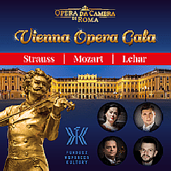 Bilety na koncert WIEDEŃSKI – VIENNA OPERA GALA w Katowicach - 08-10-2022