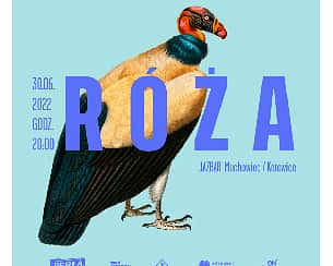 Bilety na koncert RÓŻA w JAZ barze w Katowicach - 30-06-2022