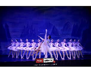 Bilety na koncert National Ballet of Kyiv - Jezioro łabędzie w Krakowie - 08-01-2023