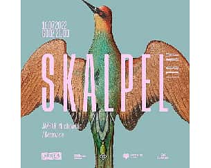 Bilety na koncert SKALPEL AV set w Katowicach - 16-07-2022