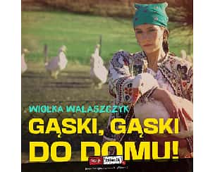 Bilety na kabaret Wiolka Walaszczyk - W autorskim programie "Gąski, gąski do domu" w Rudzie Śląskiej - 23-05-2022