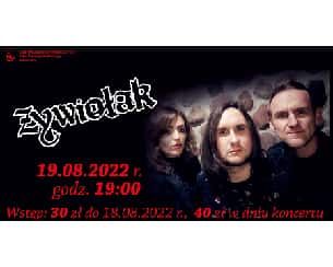 Bilety na koncert zespołu ŻYWIOŁAK w Kielcach - 19-08-2022