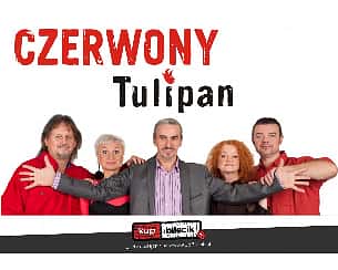 Bilety na koncert Czerwony Tulipan w Arendzie! w Będzinie - 15-08-2020