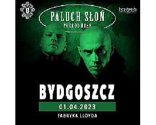 Bilety na koncert Paluch & Słoń | Bydgoszcz - 01-04-2023