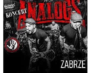 Bilety na koncert THE ANALOGS w Zabrzu - 03-02-2024