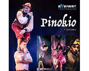 Bilety na koncert Spektakl Pinokio | Wrocław | 13:00 - 24-02-2024