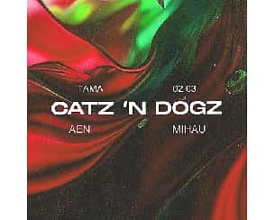 Bilety na koncert Tama: Catz N Dogz | Mihau | Aen w Poznaniu - 02-03-2024