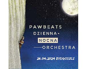 Bilety na koncert PAWBEATS | DZIENNA NOCNA ORCHESTRA | BYDGOSZCZ - 26-04-2024