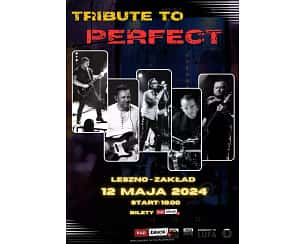 Bilety na koncert Not So Perfect - Tribute to Perfect - Not So Perfect - największe muzyczne show w najlepszych hitach zespołu Perfect w Lesznie - 12-05-2024