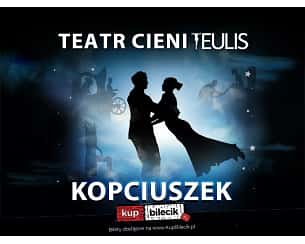 Teatr Cieni Teulis - Spektakl Familijny "Kopciuszek"