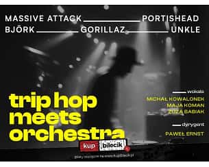 Trip Hop meets Orchestra - Massive Attack, Portishead, Bj&ouml;rk, Unkle, Gorillaz