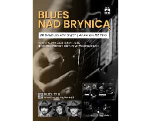 Koncert “Blues nad Brynicą” w Wojkowicach - 15-01-2023