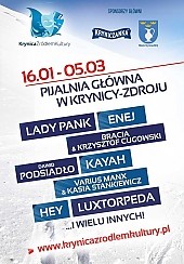 Bilety na Punk Rock Festiwal: Analogs, Jelonek, GA-GA Zielone Żabki, Farben Lehre
