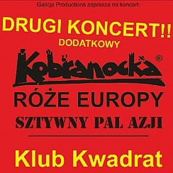 Bilety na koncert Kobranocka, Róże Europy, Sztywny Pal Azji - Koncert wyprzedany! w Krakowie - 27-02-2016