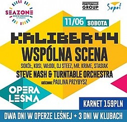 Bilety na koncert Kaliber 44 / Steve Nash & Turntable Orchestra / Wspólna Scena / SeaZone 2016 w Sopocie - 11-06-2016