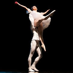 Bilety na Brave Festival: Blind Ballet Company Fernanda Bianchini