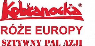 Bilety na koncert Kobranocka, Sztywny Pal Azji i Róże Europy. w Gostyniu - 01-10-2016