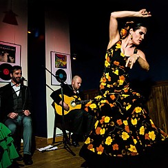 Bilety na Ethno Jazz Festival - Wieczór Flamenco: ALEJANDRO SILVA TRIO