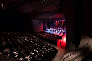 Bilety na koncert Zemsta Nietoperza | Wielka Gala Sylwestrowa | 17:00 w Toruniu - 31-12-2017