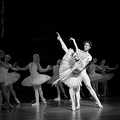 Bilety na spektakl Royal Lviv Ballet - JEZIORO ŁABĘDZIE - ROYAL LVIV BALLET - Kłobuck - 28-11-2017