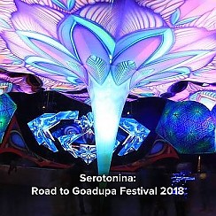 Bilety na Serotonina: Road to Goadupa Festival 2018
