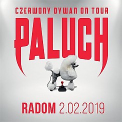 Bilety na koncert Paluch - Radom - 02-02-2019