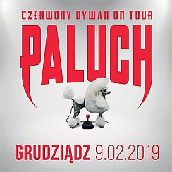 Bilety na koncert Paluch - Grudziądz - 09-02-2019