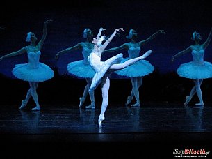 Bilety na spektakl Balet Jezioro Łabędzie - Russian National Ballet - Russian National Ballet - Kraków - 29-01-2019