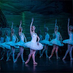 Bilety na spektakl Jezioro łabędzie Royal Russian Ballet - Kraków - 21-10-2019